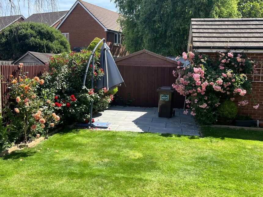 Image 12