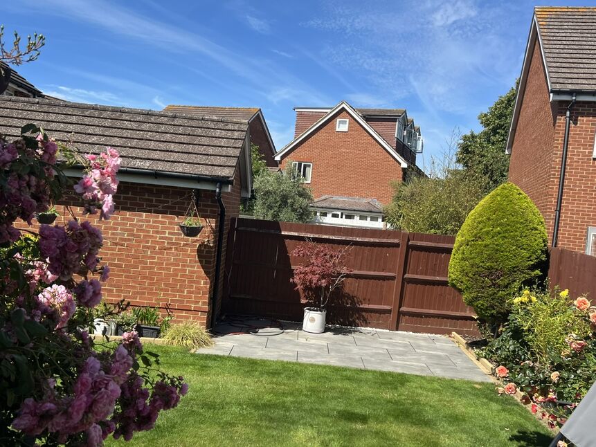 Image 13